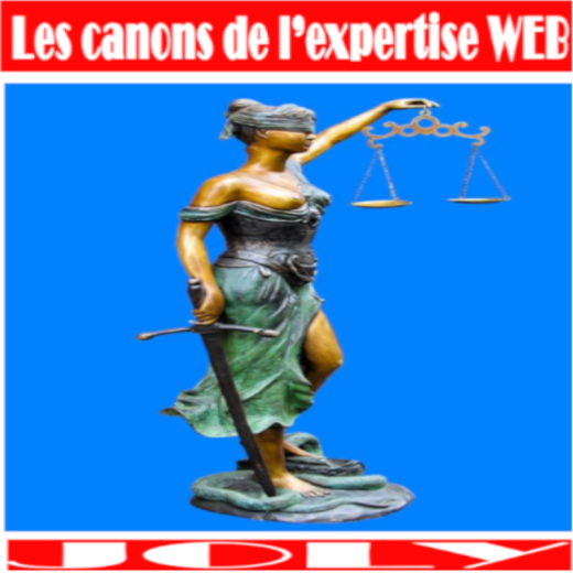 eBook Les cannons de l'expertise WEB