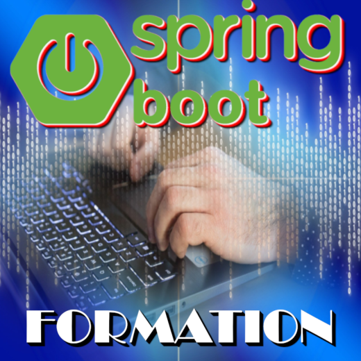 Formation Spring-Boot Junior